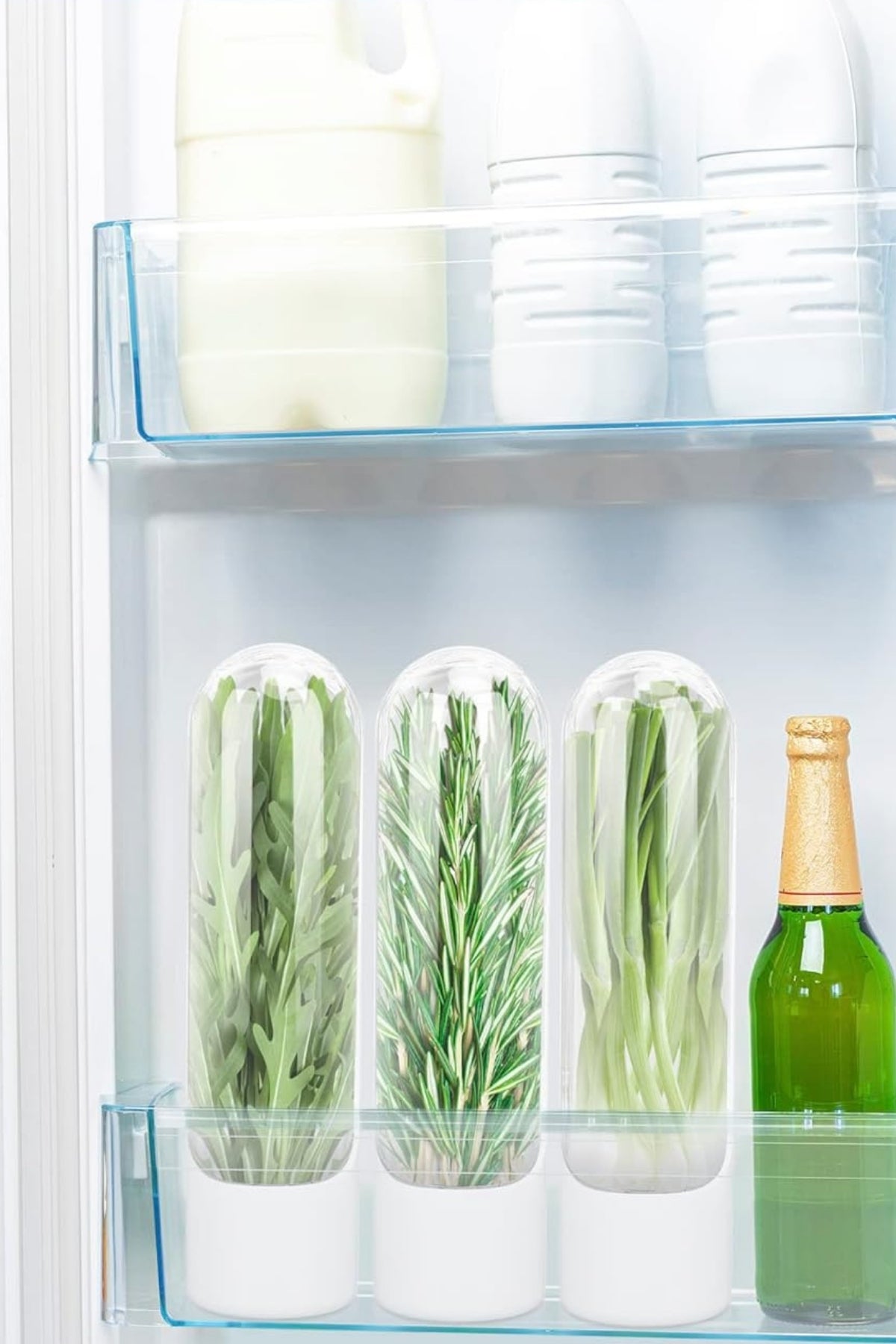 2’li Yeşillik Saklama Kabı Seti - Taze Tutan Herb Keeper Sebze Saklama Kapları