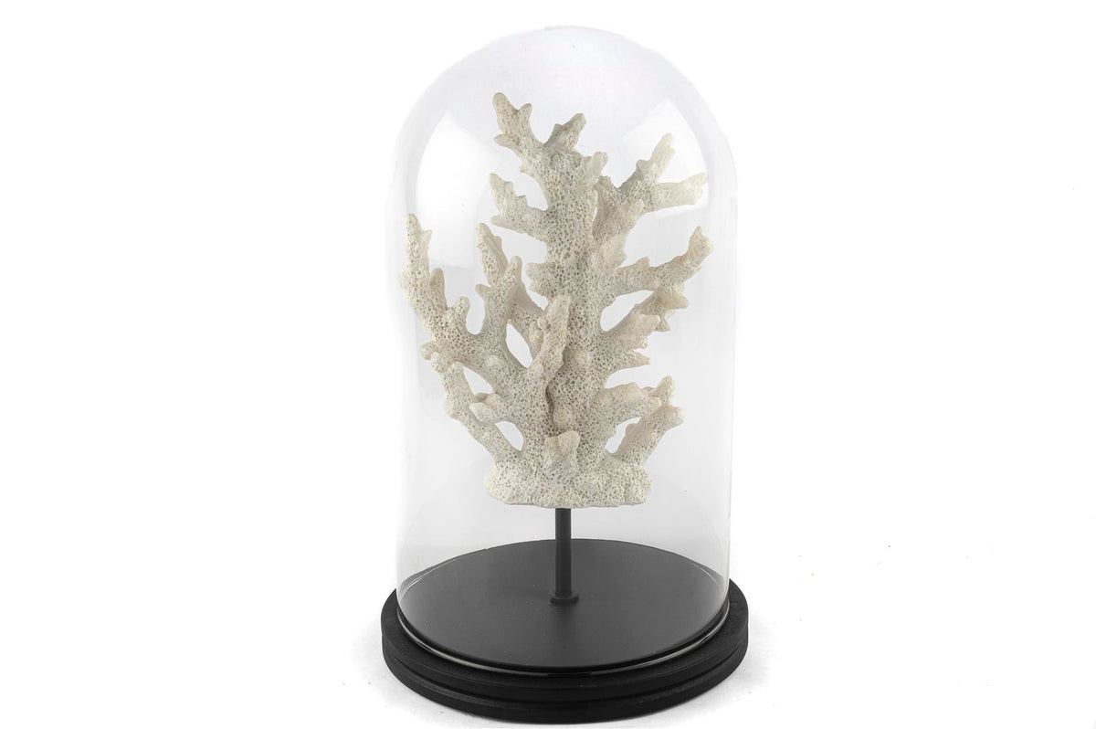 Mikasa Moor Beyaz Mercan Clear Cam Fanus 38x22cm
