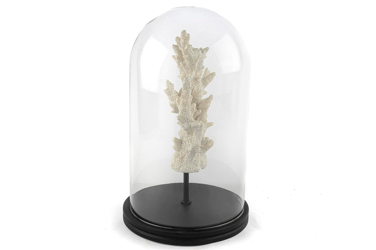 Mikasa Moor Beyaz Mercan Clear Cam Fanus 38x22cm