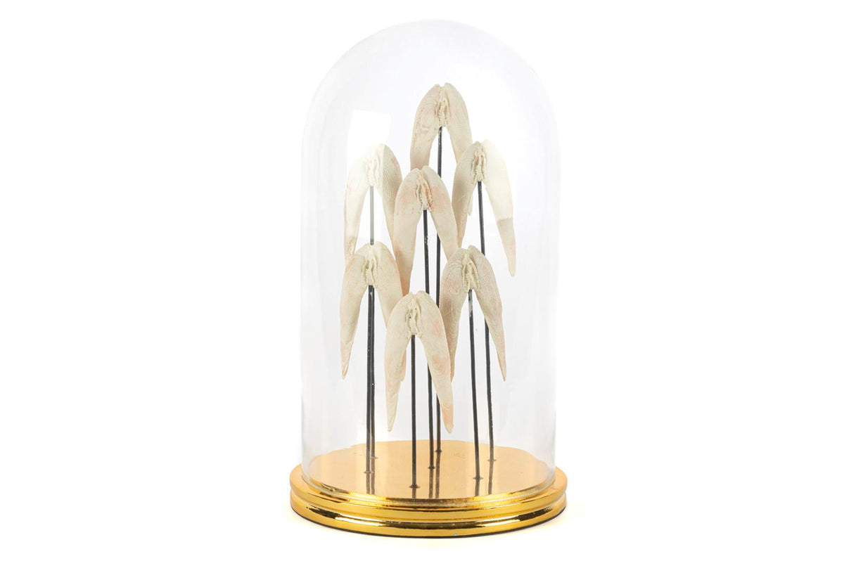 Mikasa Moor Angel Gold Dekoratif Cam Fanus 22x37cm