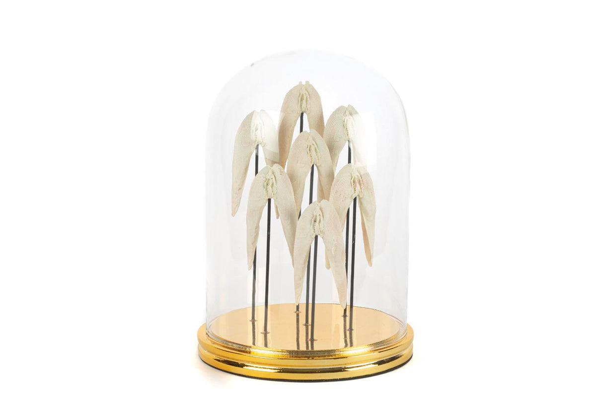 Mikasa Moor Angel Gold Dekoratif Cam Fanus 22x30cm