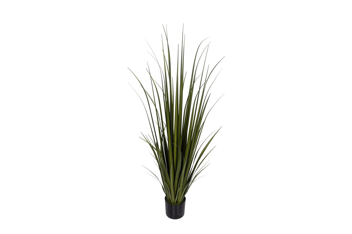 Mikasa Moor Yeşil Yapay Bitki 150cm