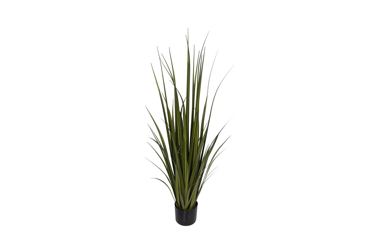 Mikasa Moor Yeşil Yapay Bitki 120cm