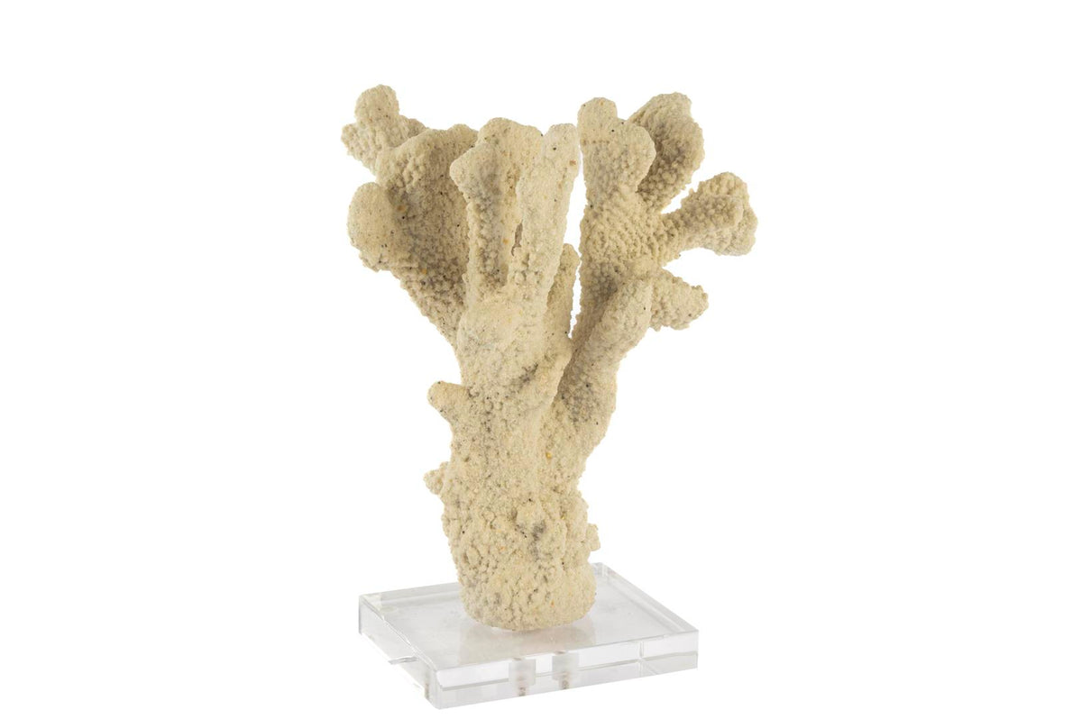 Mikasa Moor Şeffaf Kaideli Naturel Mercan 12x10x23cm