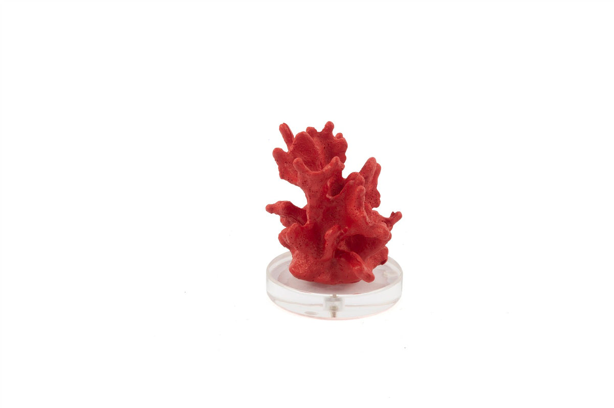 Mikasa Moor Kırmızı Mercan Resin Dekoratif Obje 16x13cm