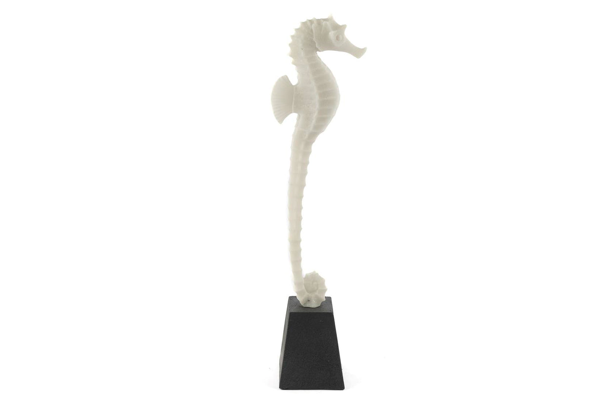 Mikasa Moor Biblo Deniz Atı 13X51 cm