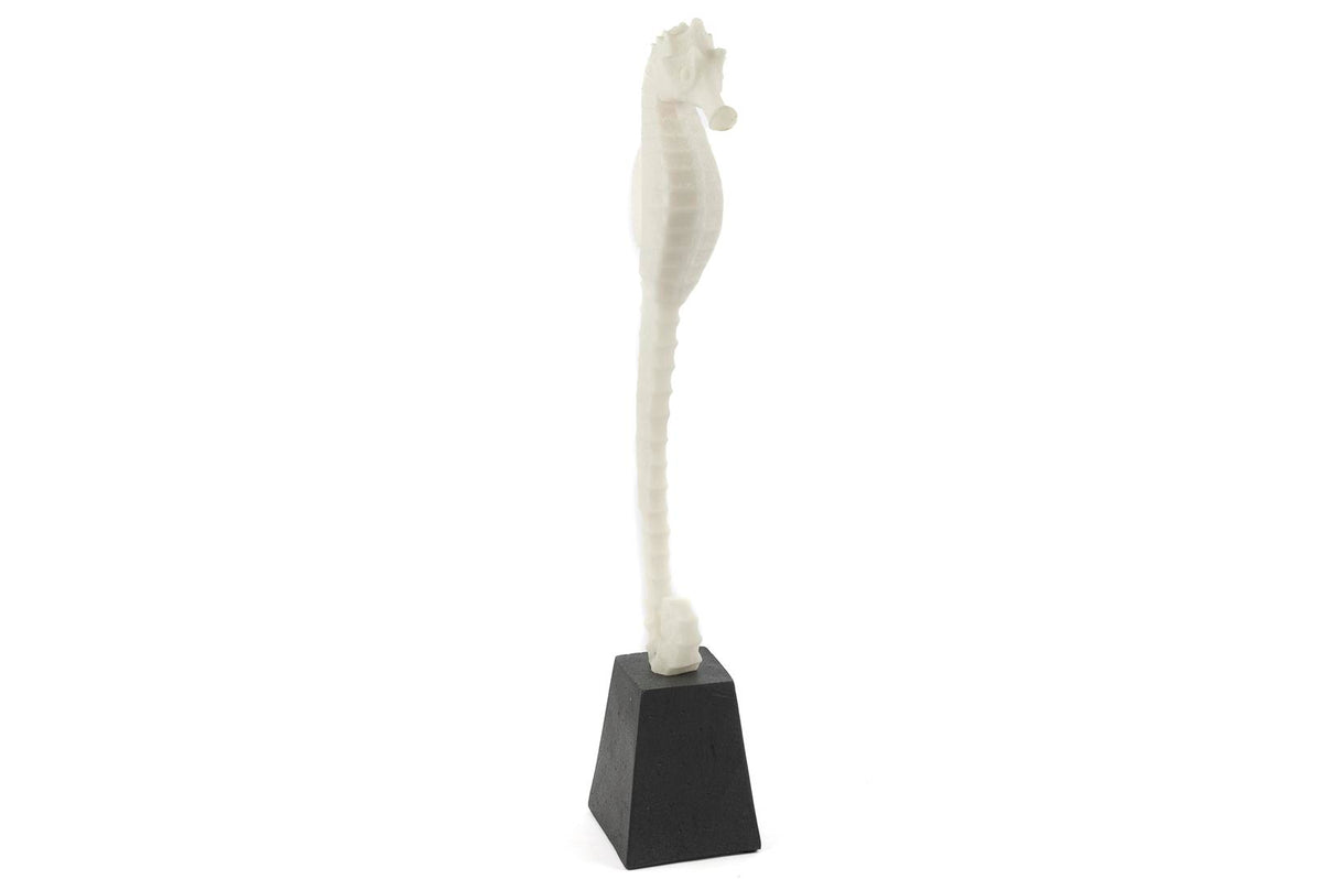 Mikasa Moor Biblo Deniz Atı 13X51 cm
