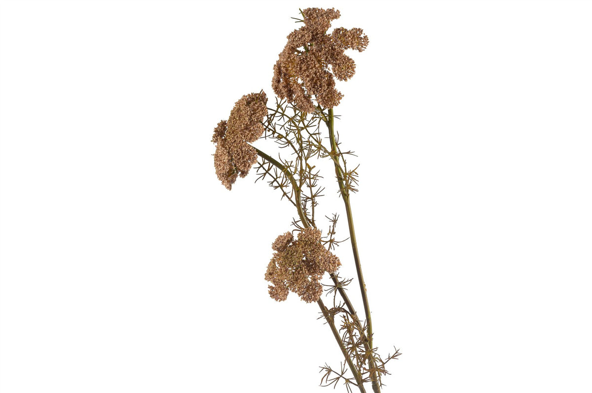Mikasa Moor Daucus Carota Yapay Çiçek 73cm