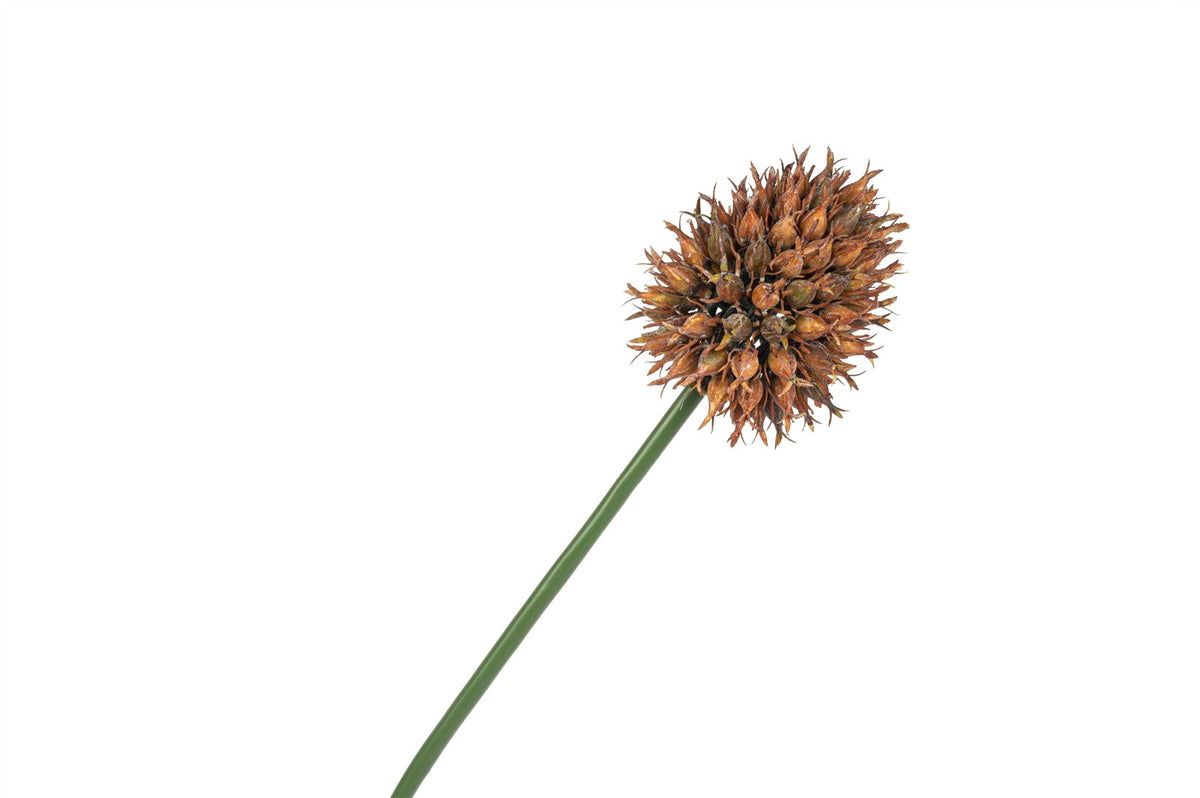 Mikasa Moor Kahve Yapay Soğan Çiçeği 68cm