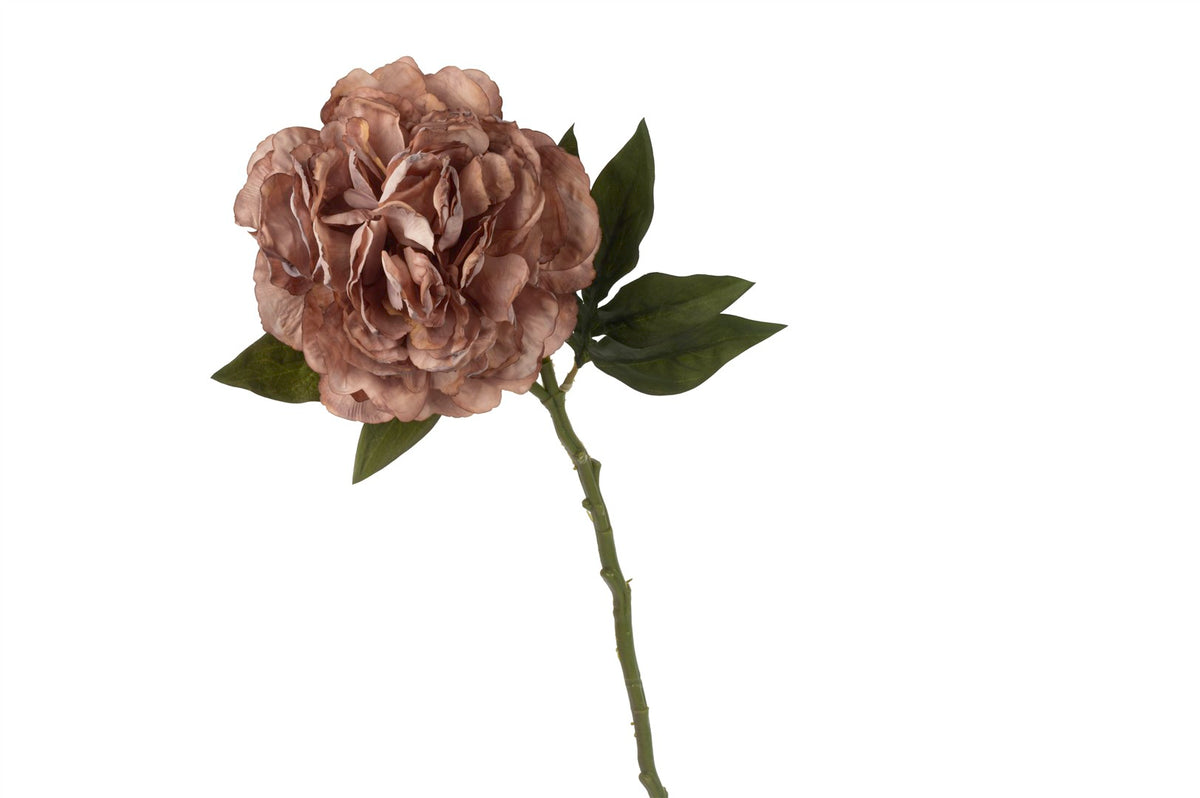 Mikasa Moor Gül Kurusu Yapay Dal Şakayık 62cm