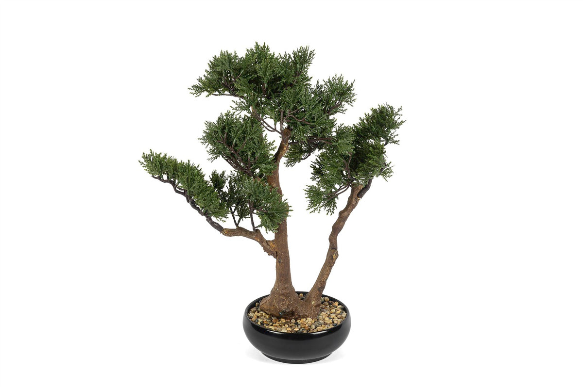 Mikasa Moor Pinus Bonsai Yapay Ağaç 56cm