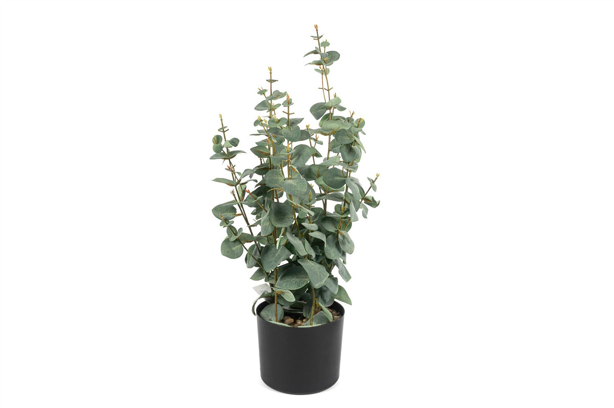 Mikasa Moor Okaliptüs Yapay Ağaç 60cm