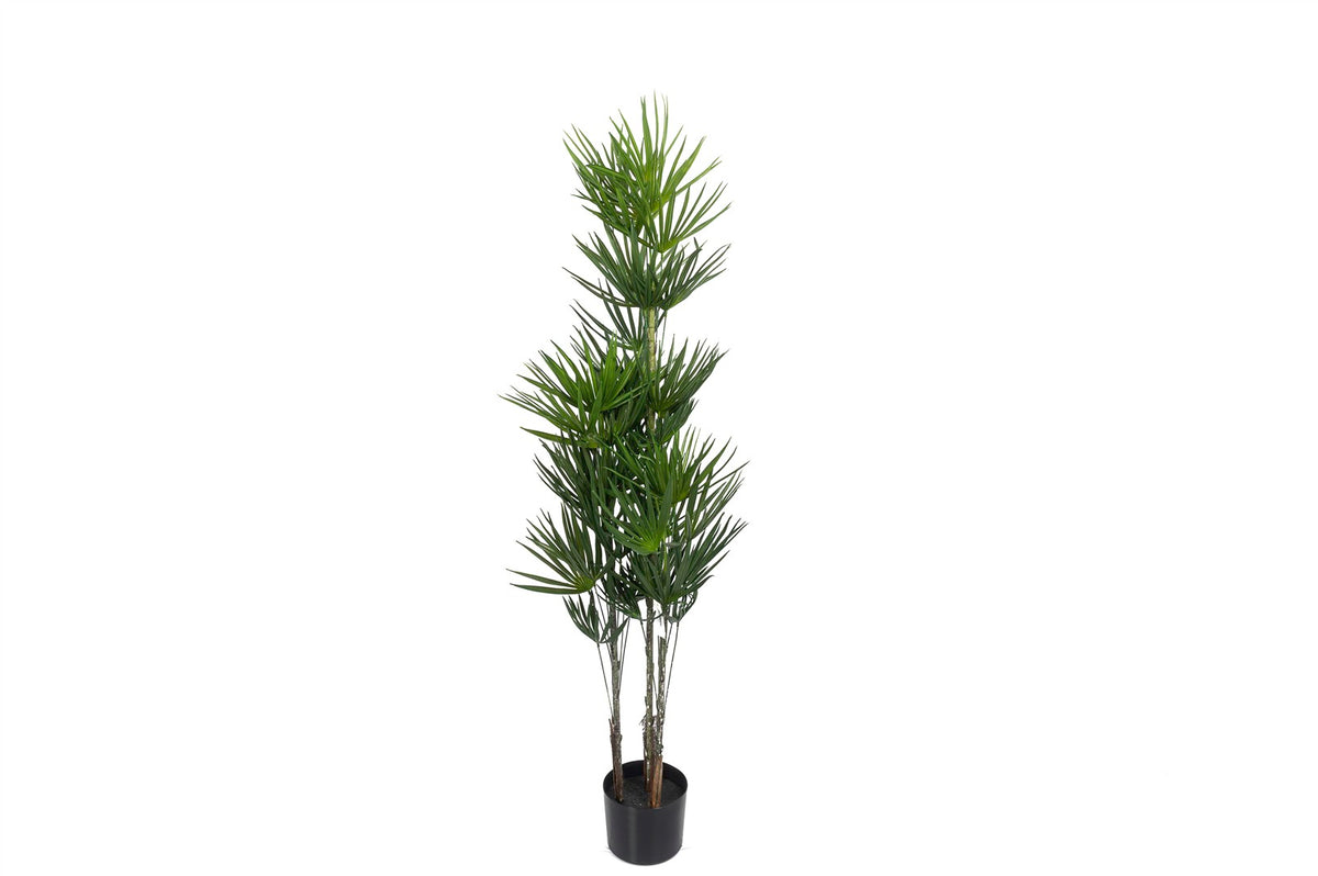 Mikasa Moor Palmiye Yapay Ağaç 130cm