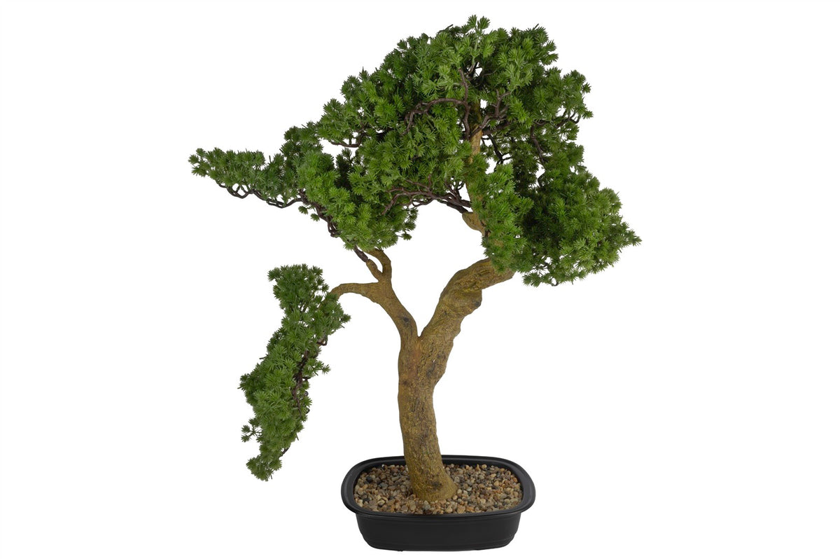 Mikasa Moor Pine Tree Bonsai Yapay Ağaç 70x82cm