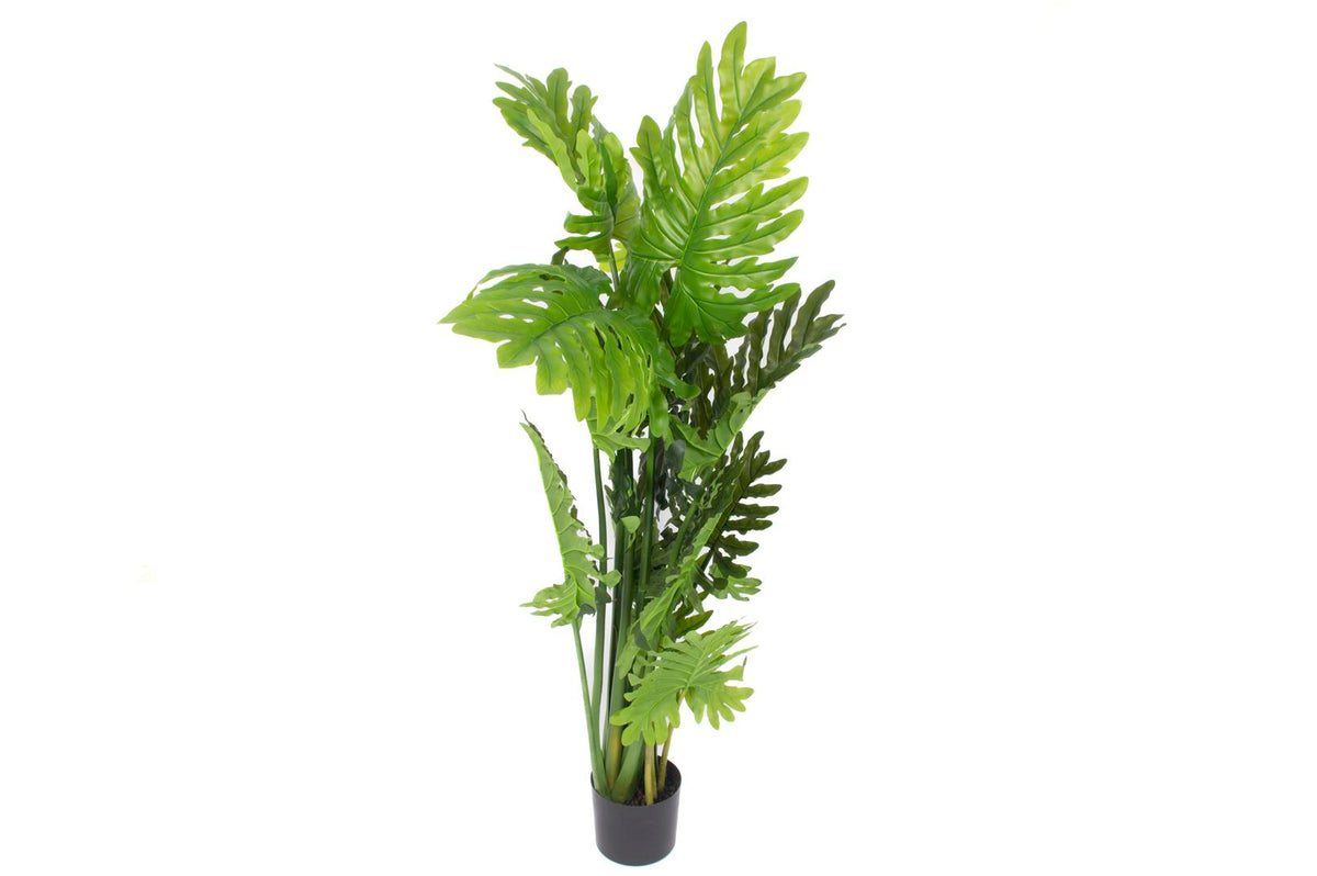 Mikasa Moor Philodendron Yapay Ağaç 140cm