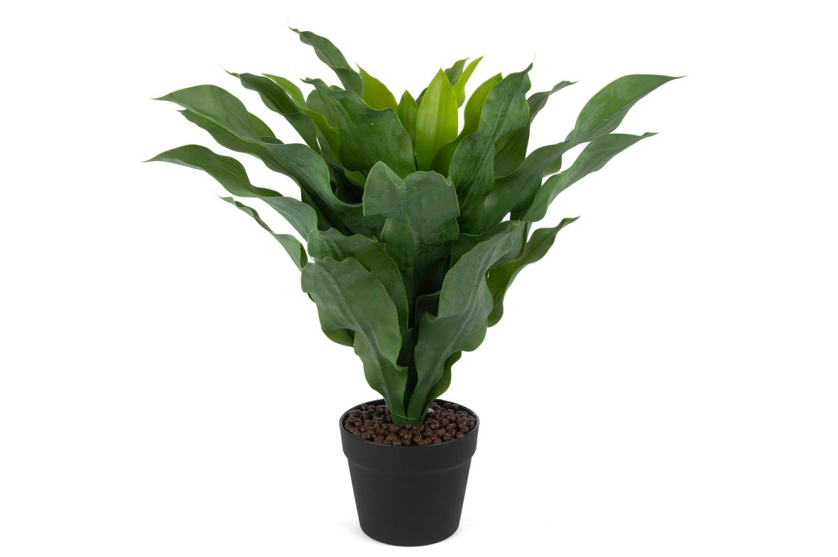 Mikasa Moor Brazilwood Yapay Çiçek 60cm