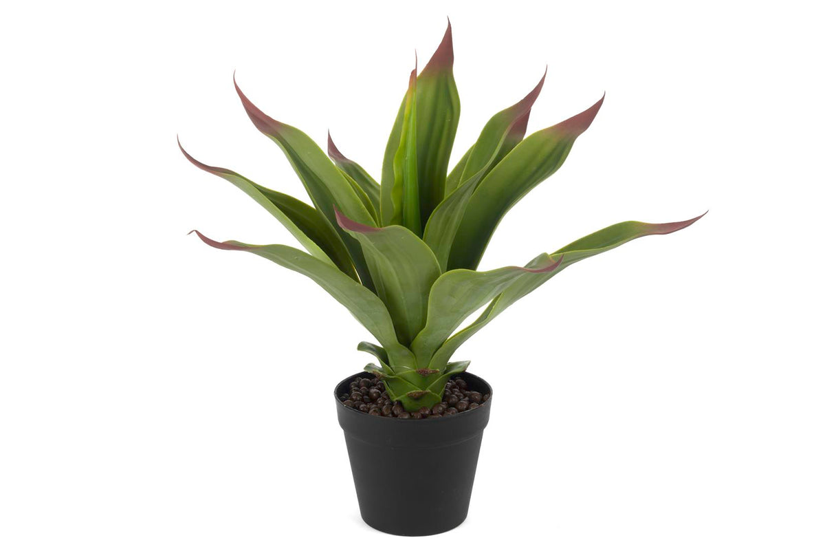 Mikasa Moor Agave Yapay Çiçek 50cm