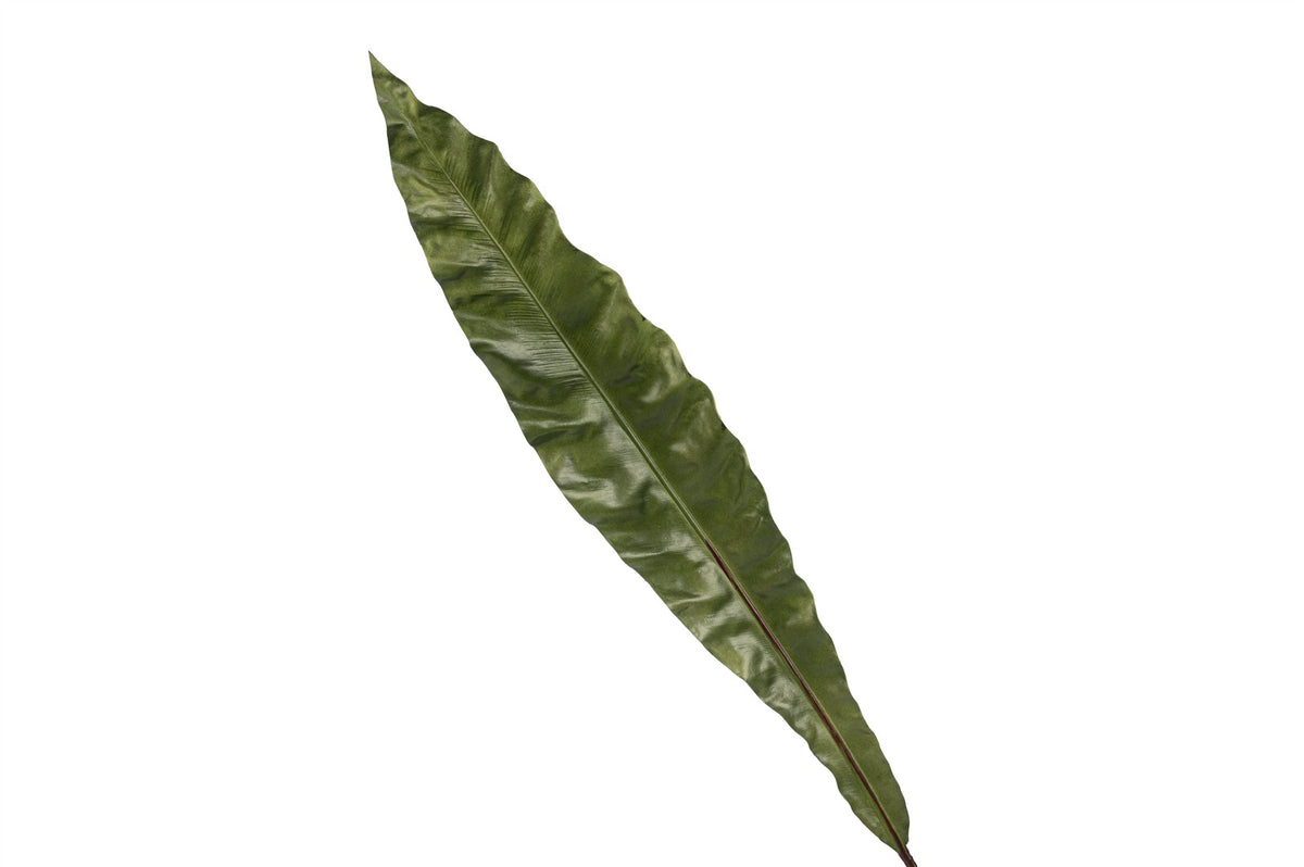 Mikasa Moor Yeşil Yaprak Yapay Çiçek 71cm