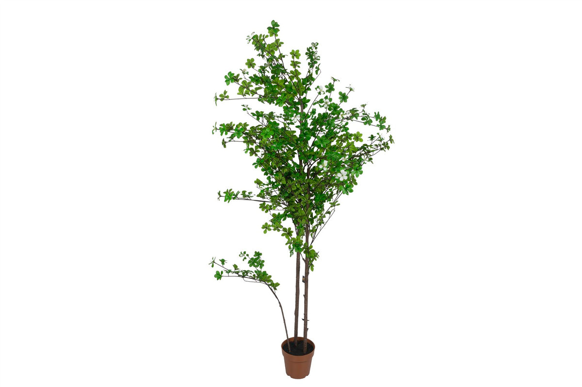 Mikasa Moor Beyaz Çiçekli Yapay Ağaç 180cm