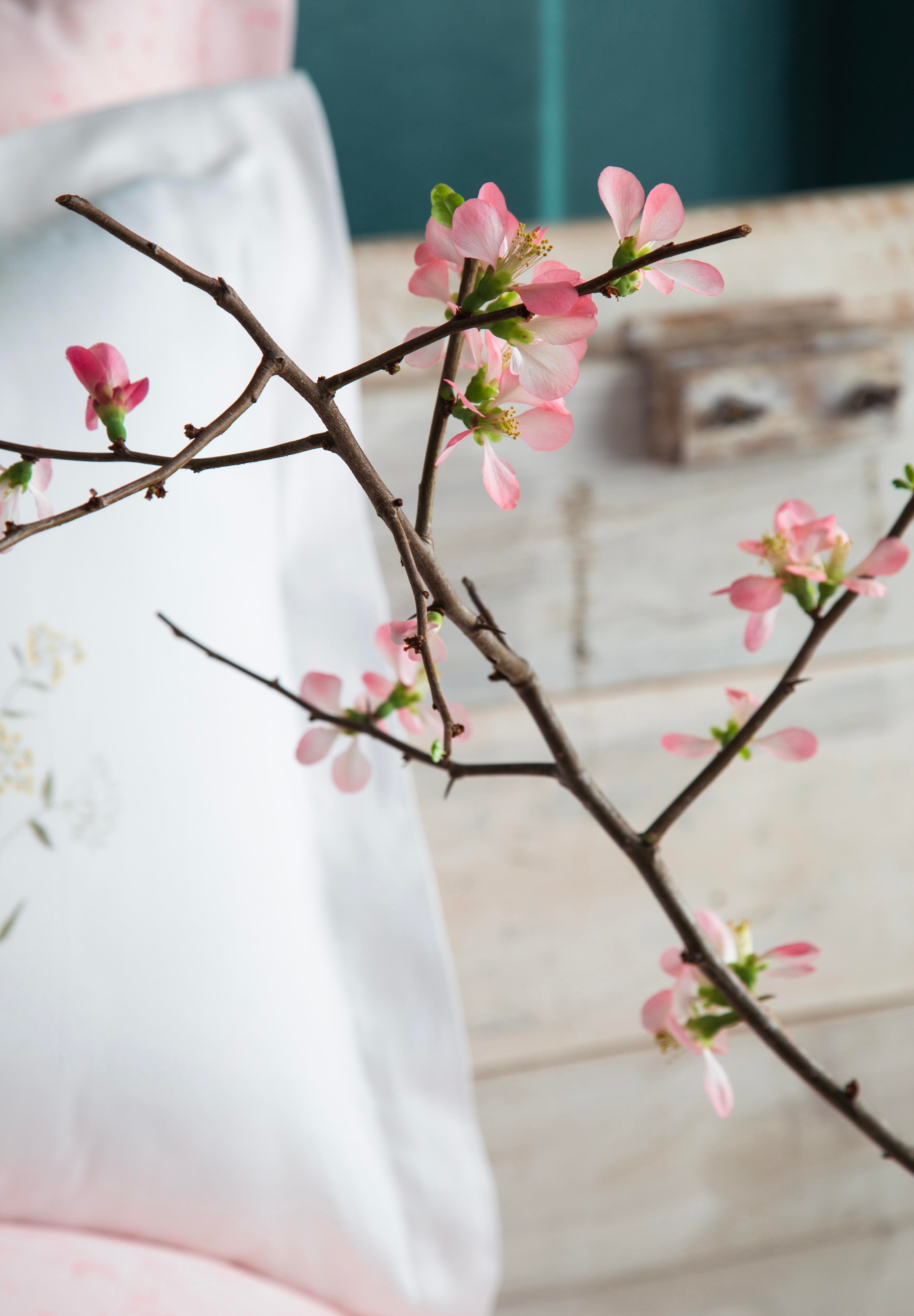Apricitas Home Windflower King Size Tencel Nevresim Takımı