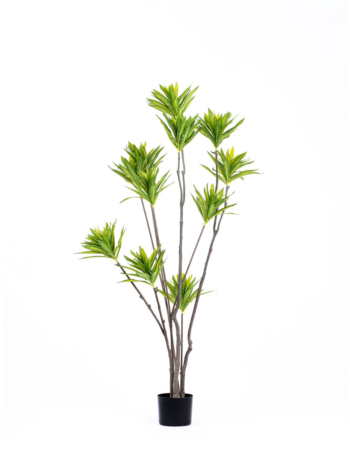 The Mia Lily Bamboo Yapay Ağaç Yeşil 7 Dallı150 cm