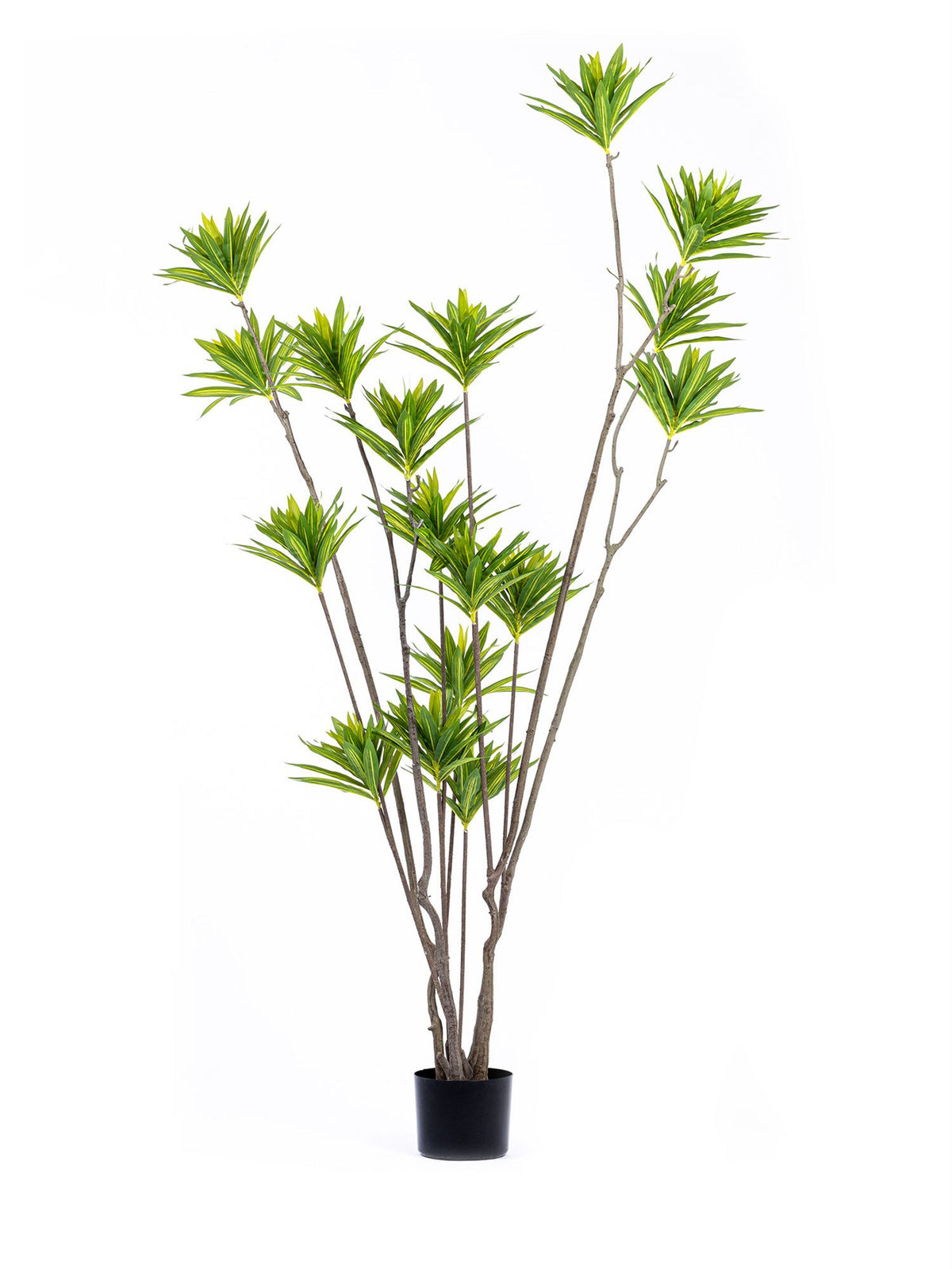 The Mia Lily Bamboo Yapay Ağaç Yeşil 7 Dallı 200 cm