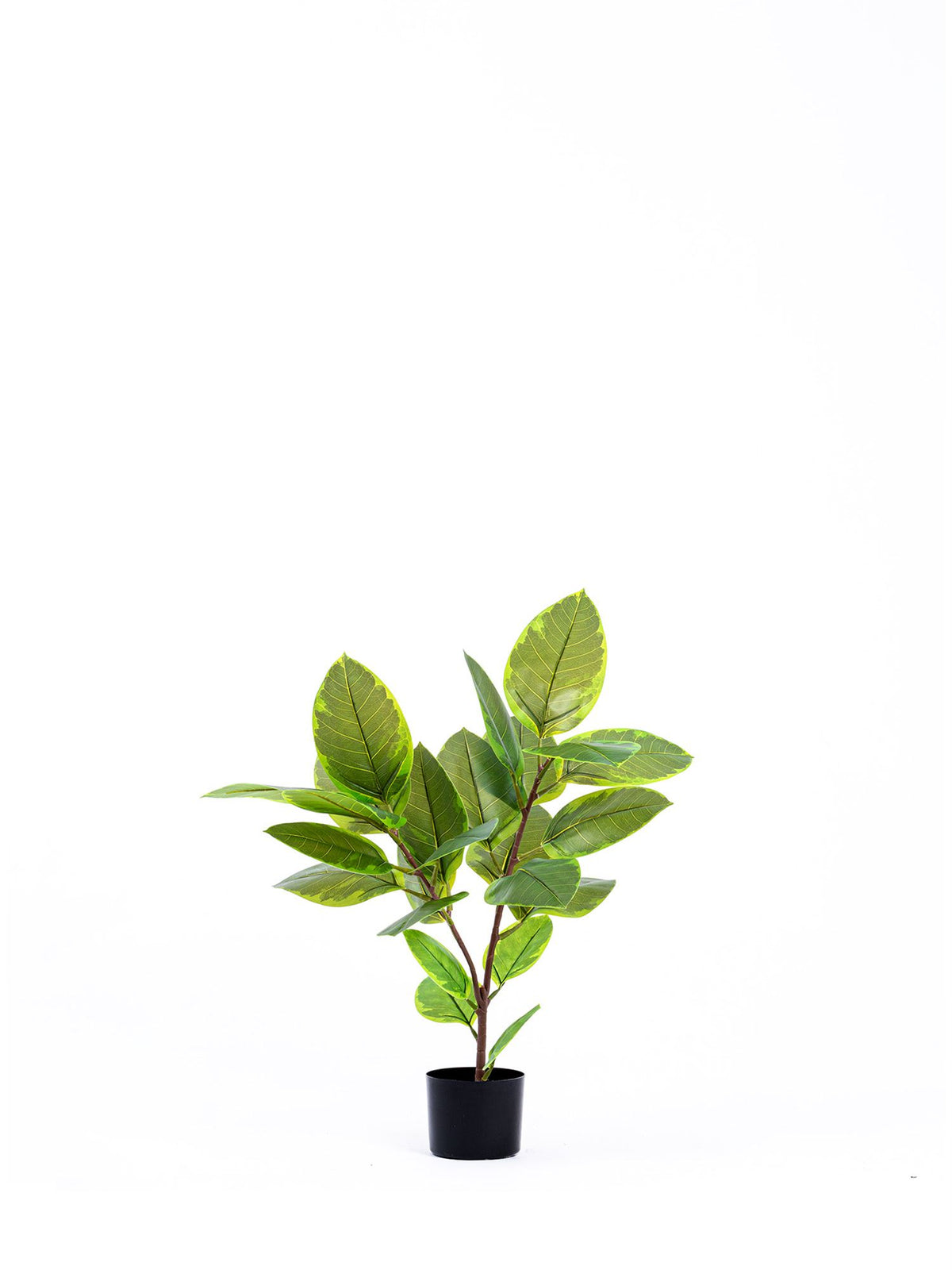 The Mia Ficus Altissima Yapay Ağaç Yeşil 2 Dallı 90 cm