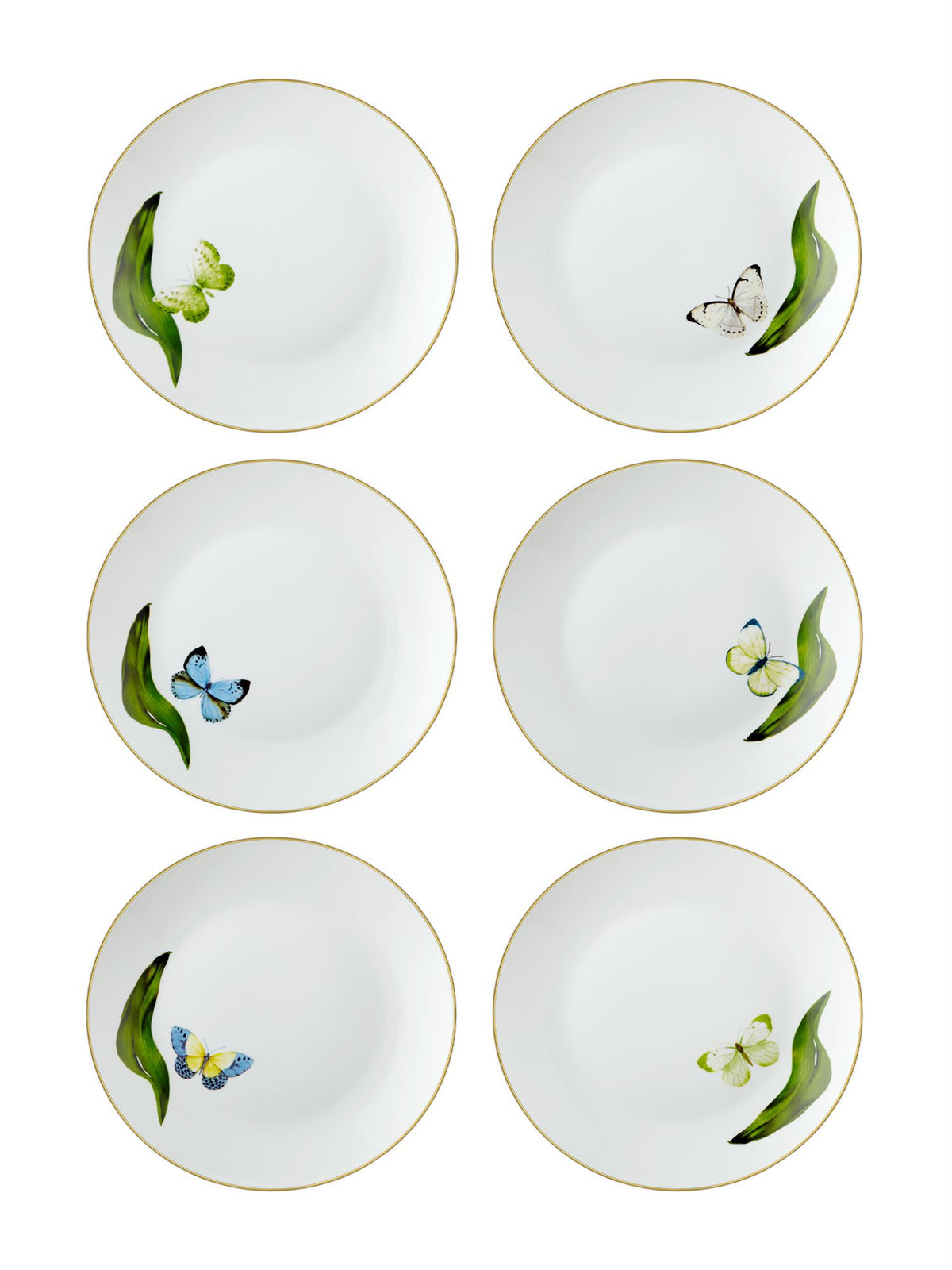 The Mia Folium Pasta Tabağı 6 Kişilik (Paket: 2 Adet)