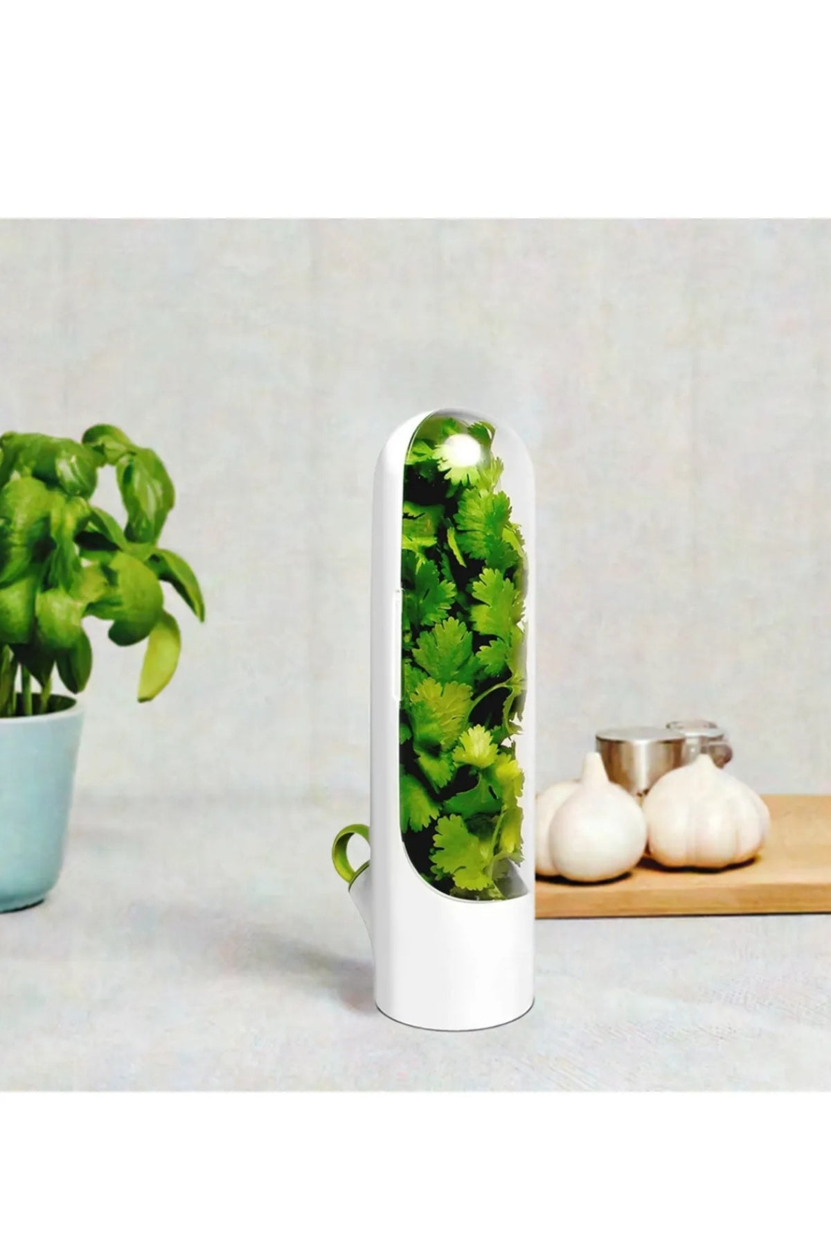 Yeşillik Saklama Kabı - Uzun Süre Taze Tutma, Herb Keeper Sebze Saklama Kabı