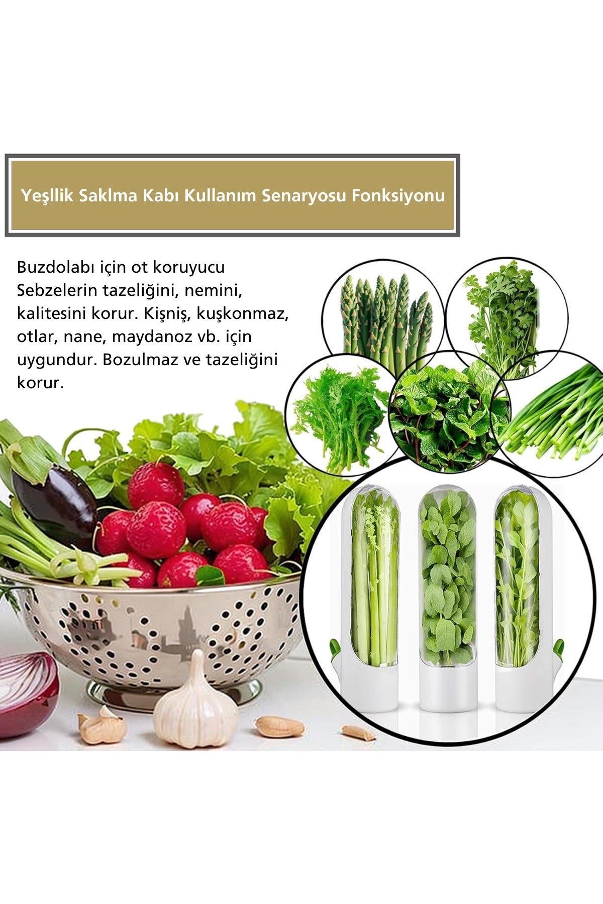 2’li Yeşillik Saklama Kabı Seti - Taze Tutan Herb Keeper Sebze Saklama Kapları