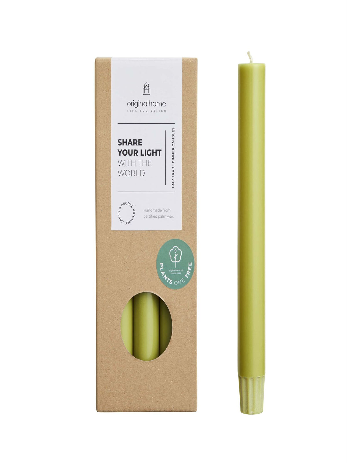 The Mia Şamdan Mumu Moss 20 cm (Paket: 10 Adet)