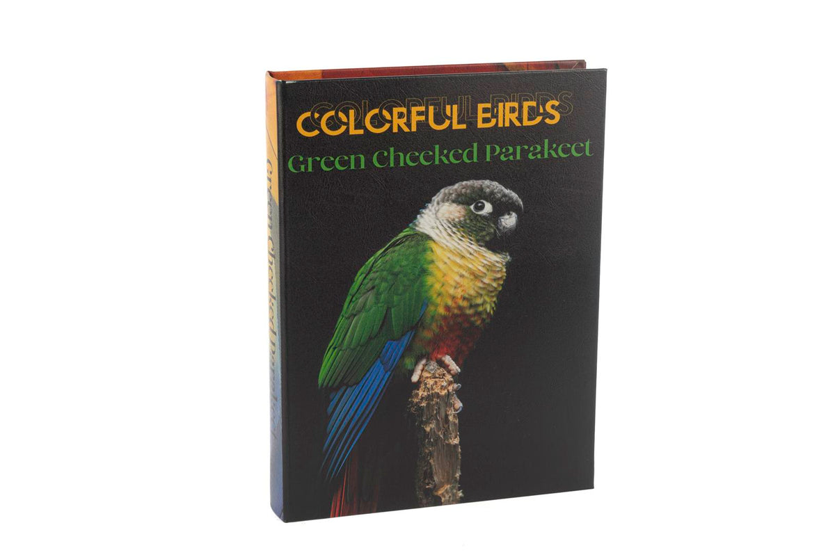 Mikasa Moor Colorful Birds Kitap Kutu 28x22x4cm