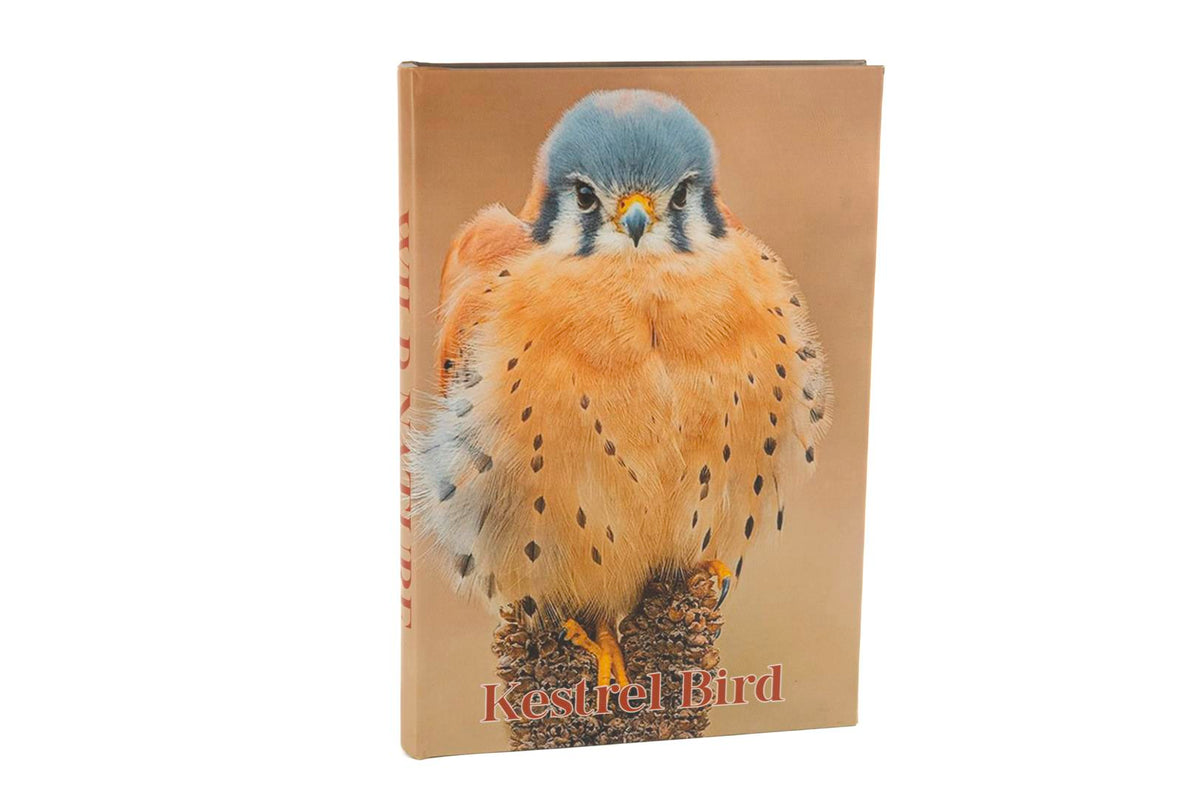 Mikasa Moor Kestrel Bird Kitap Kutu 35x24x3cm