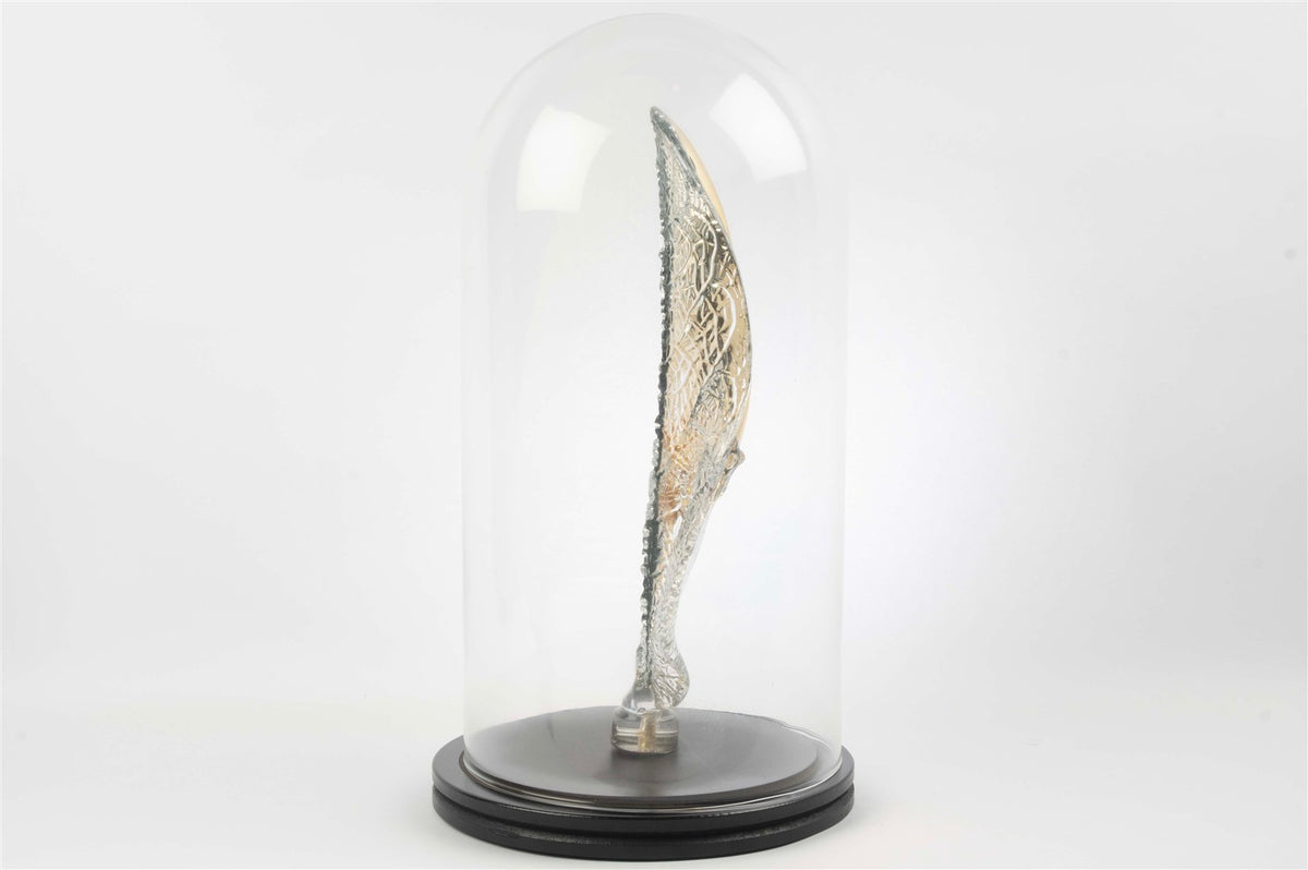 Mikasa Moor Gold Kristal Yaprak Kurbağa Fanus 42x22cm