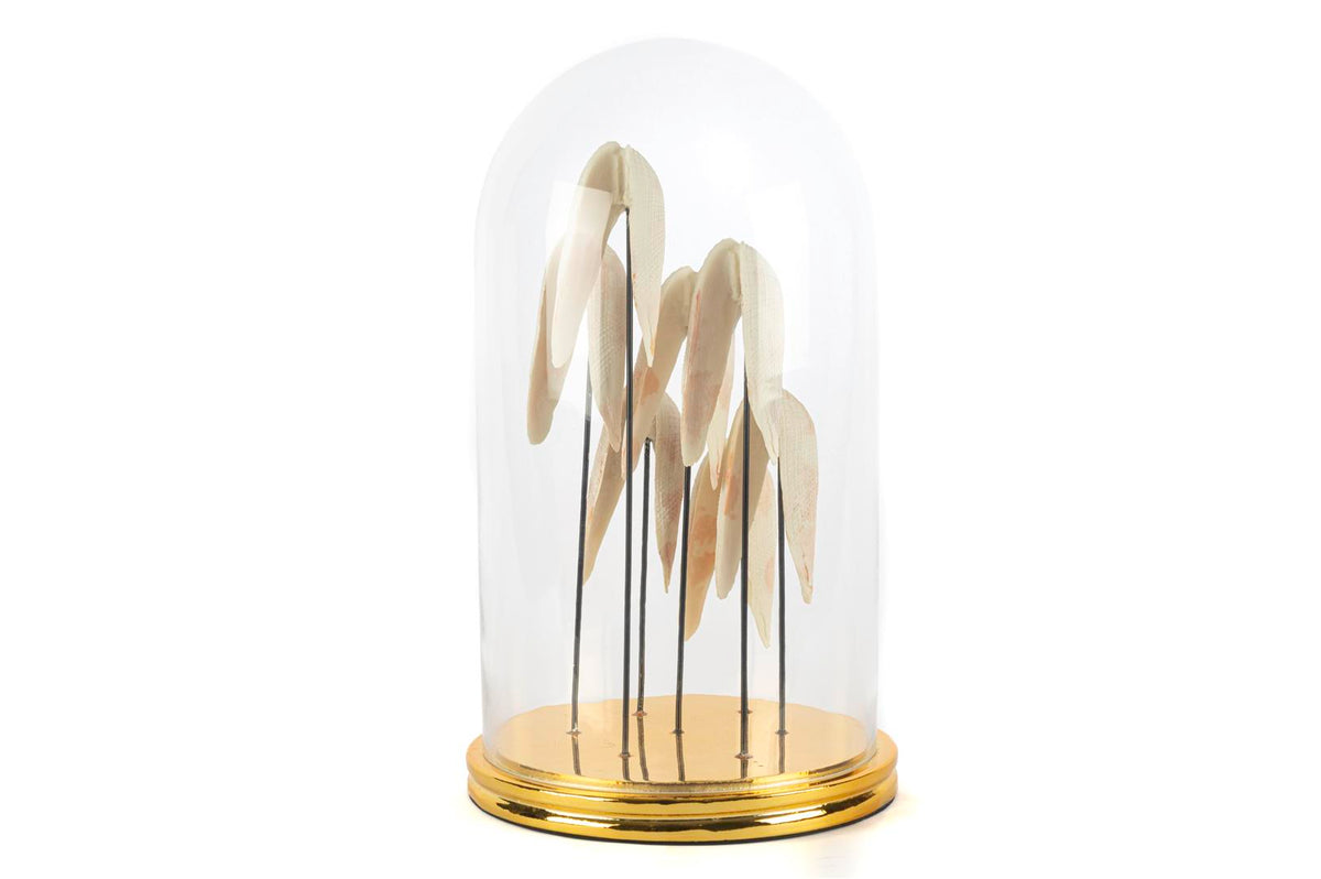 Mikasa Moor Angel Gold Dekoratif Cam Fanus 22x37cm