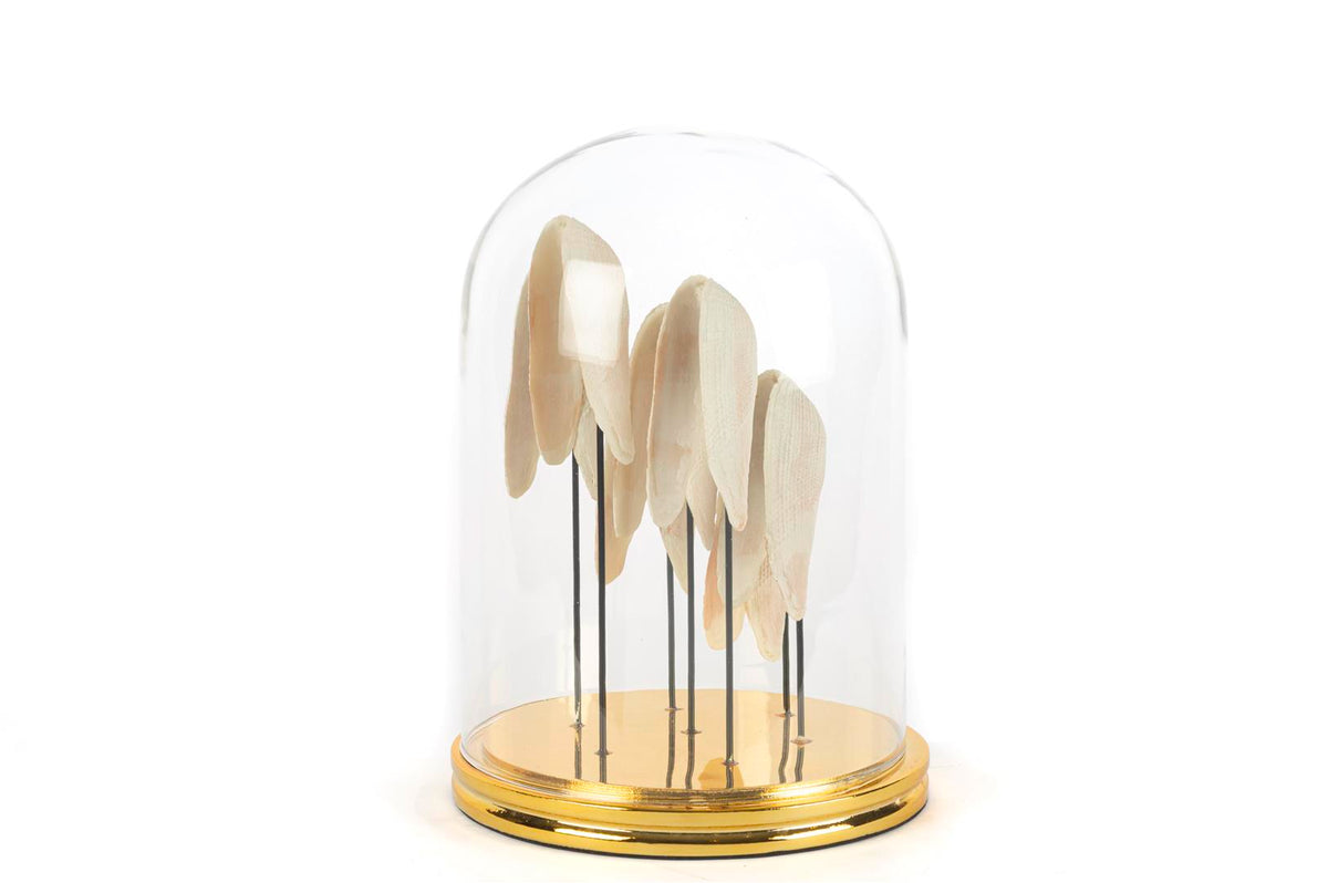 Mikasa Moor Angel Gold Dekoratif Cam Fanus 22x30cm