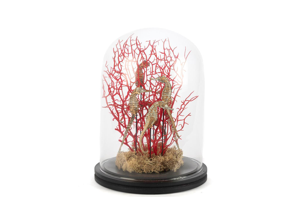 Mikasa Moor Coral Oranj Gold Dekoratif Cam Fanus 22x30cm