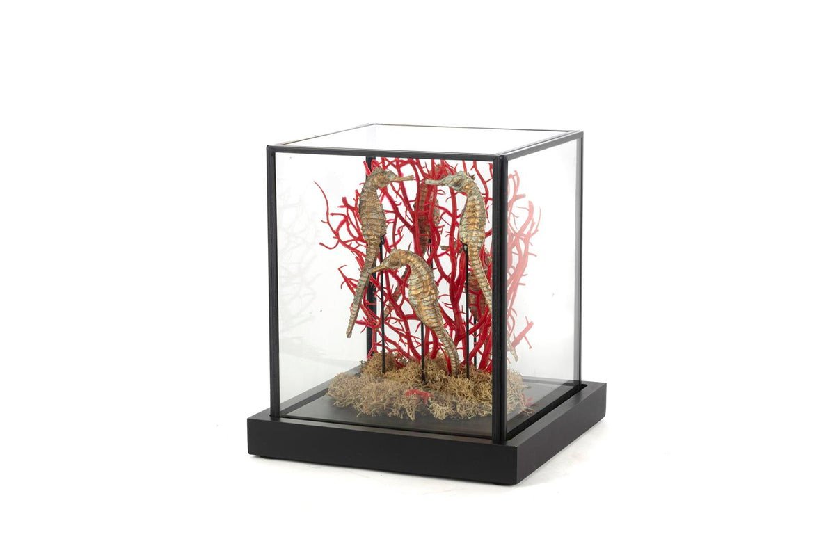 Mikasa Moor Coral Oranj Gold Dekoratif Cam Fanus 19x19x21cm