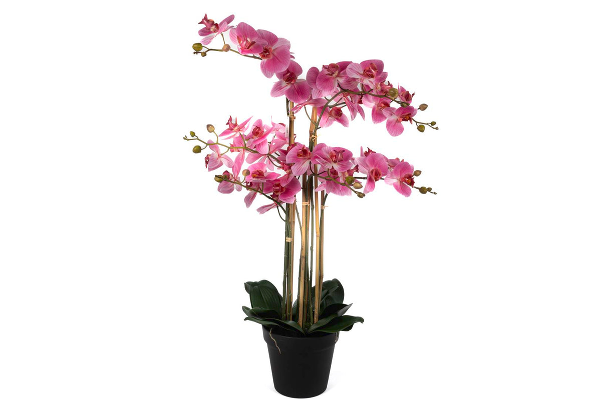 Mikasa Moor Pebme 8li Yapay Orkide 110cm