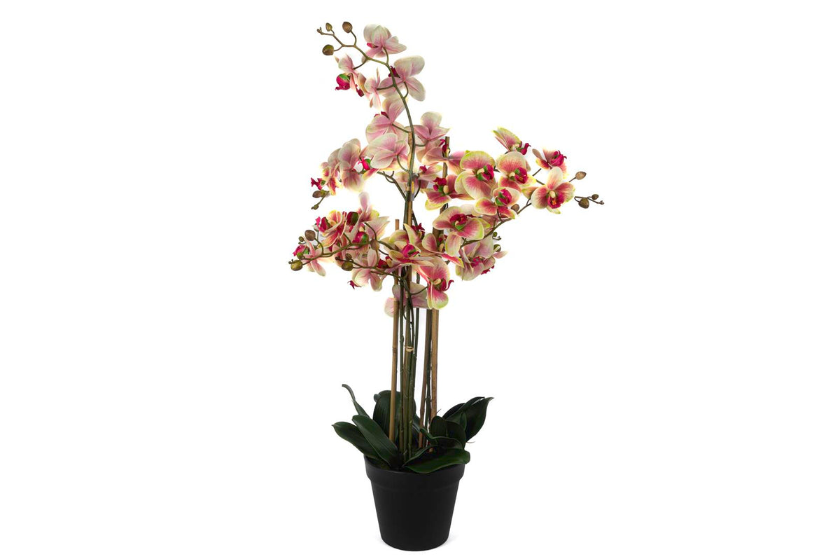 Mikasa Moor Krem Pembe 8li Yapay Orkide 110cm