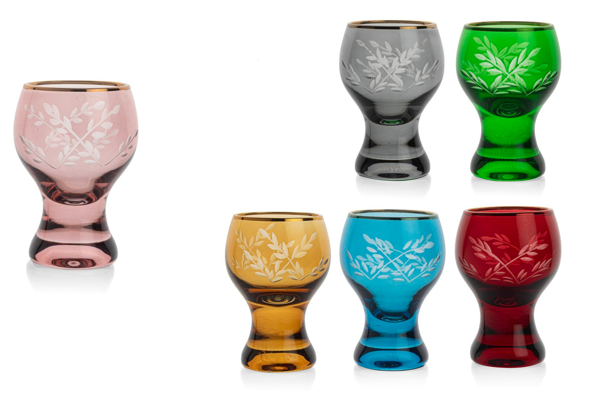 Mikasa Moor Molly 6lı Renkli Asorti Shot Bardak