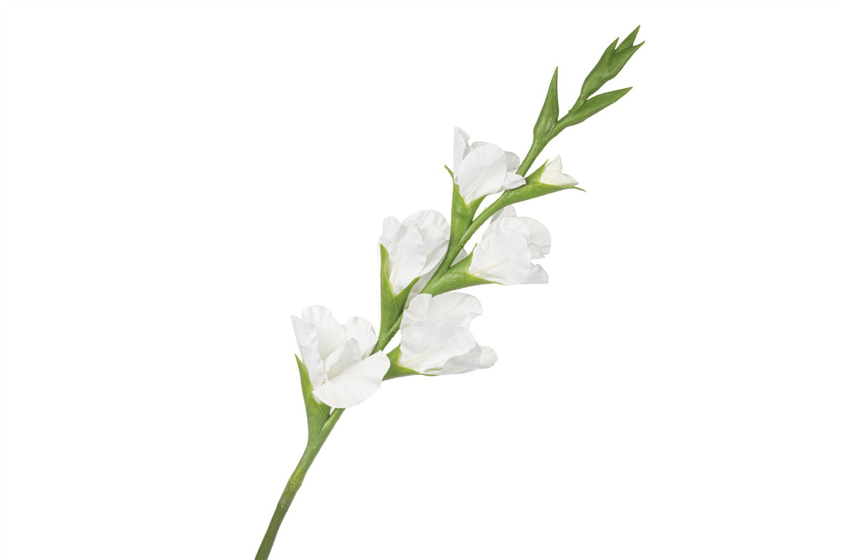 Mikasa Moor Beyaz Yapay Glayöl 86cm