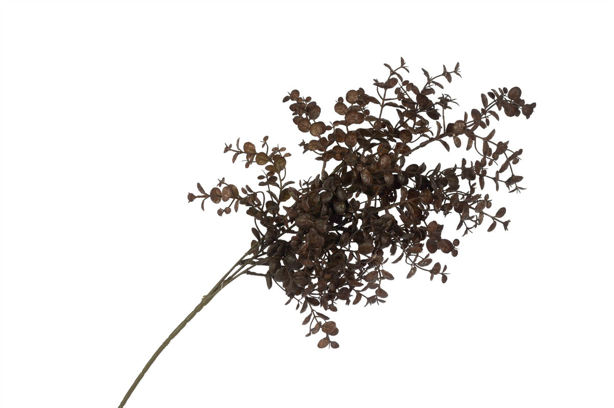 Mikasa Moor Acı Kahve Yapay Okaliptus Dalı 70cm