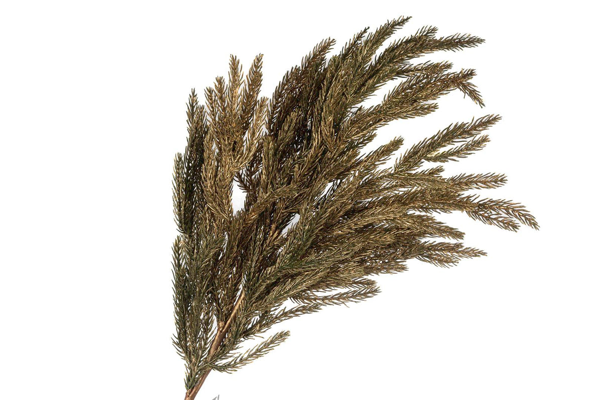 Mikasa Moor Pine Gold Yapay Çiçek 91cm