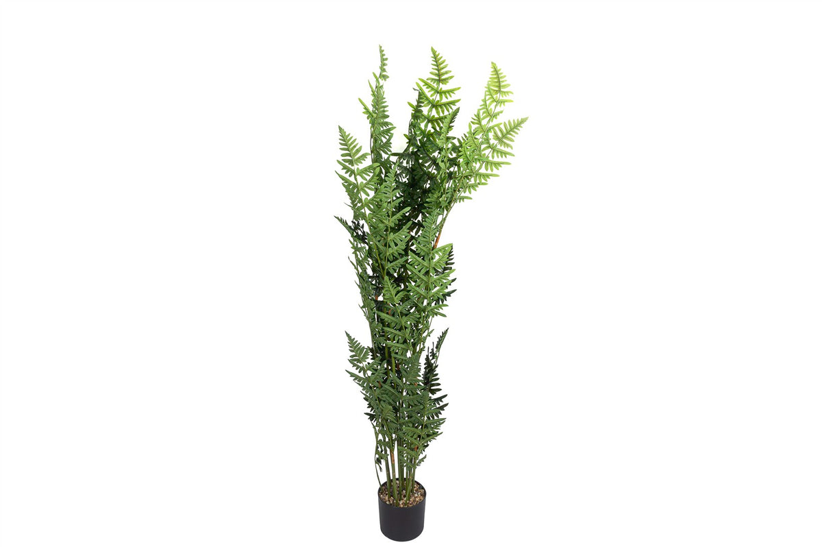 Mikasa Moor Ferns Tree Yapay Ağaç 160cm