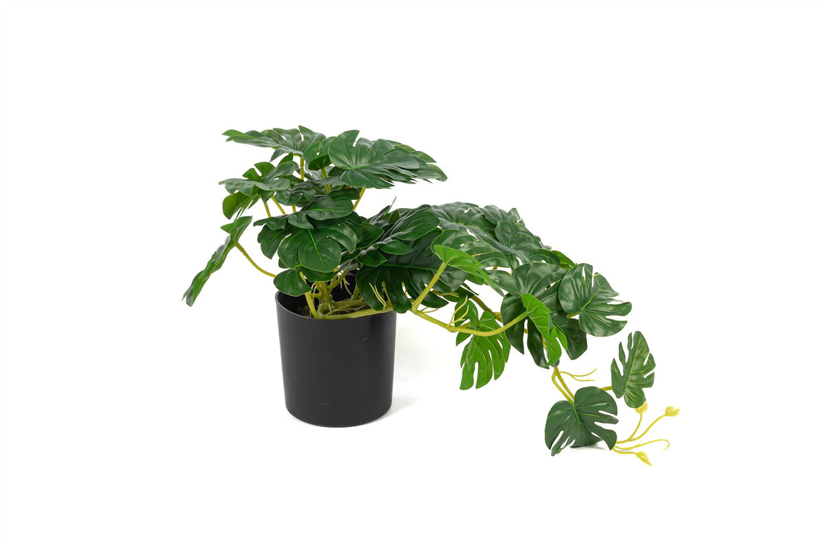 Mikasa Moor Kalathea Yapay Çiçek 23cm