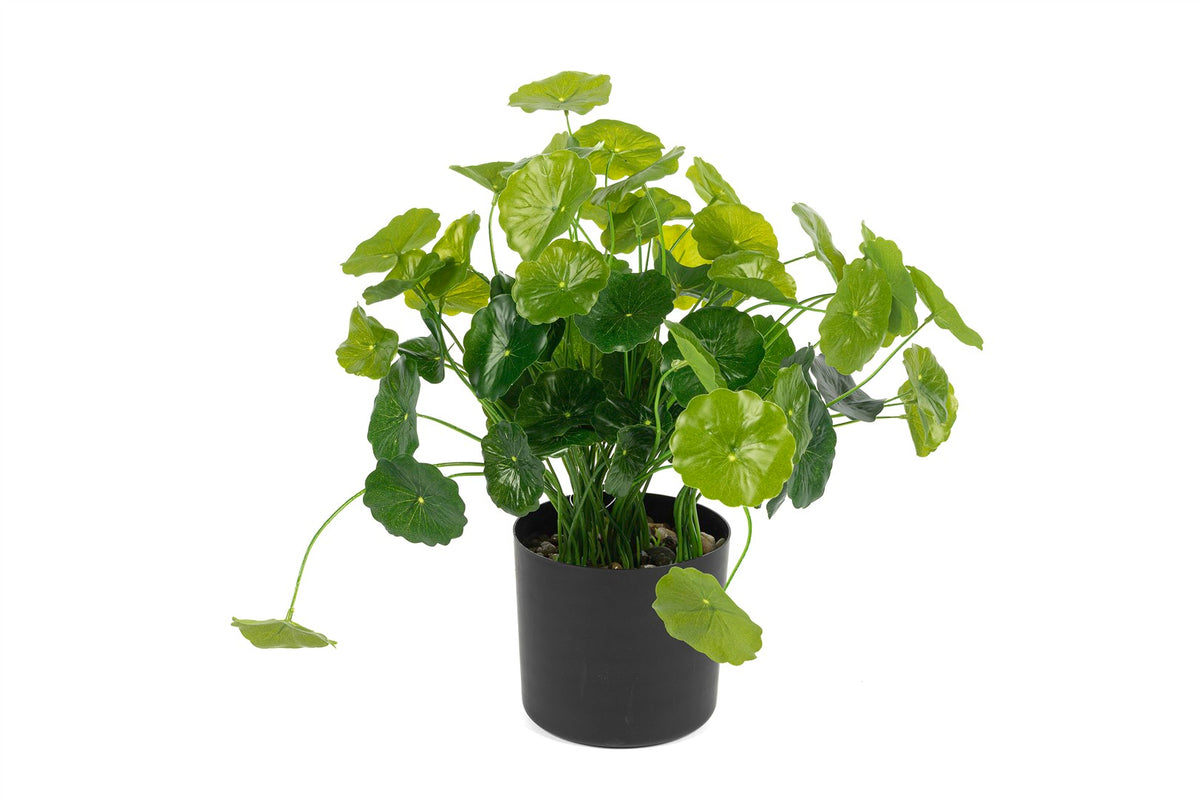 Mikasa Moor Lotus Yapay Çiçek 36cm