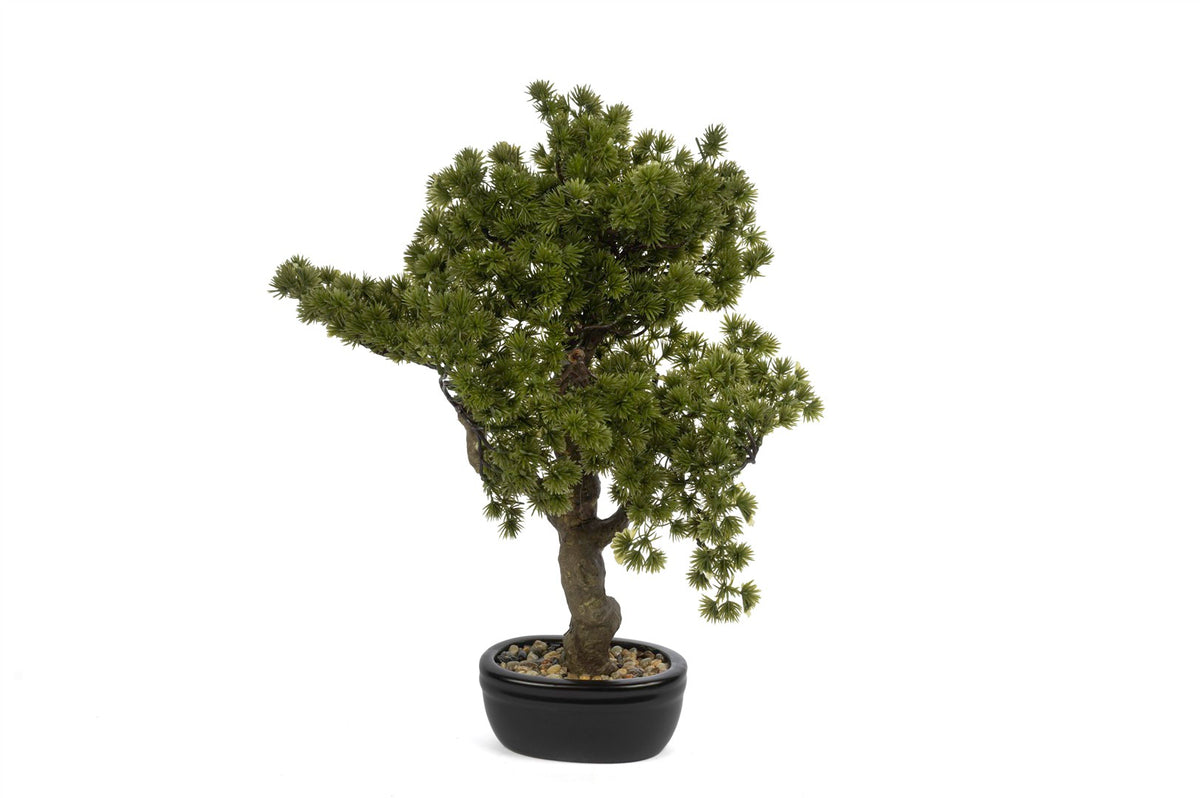 Mikasa Moor Pinus Yapay Bonsai Ağaç 44cm