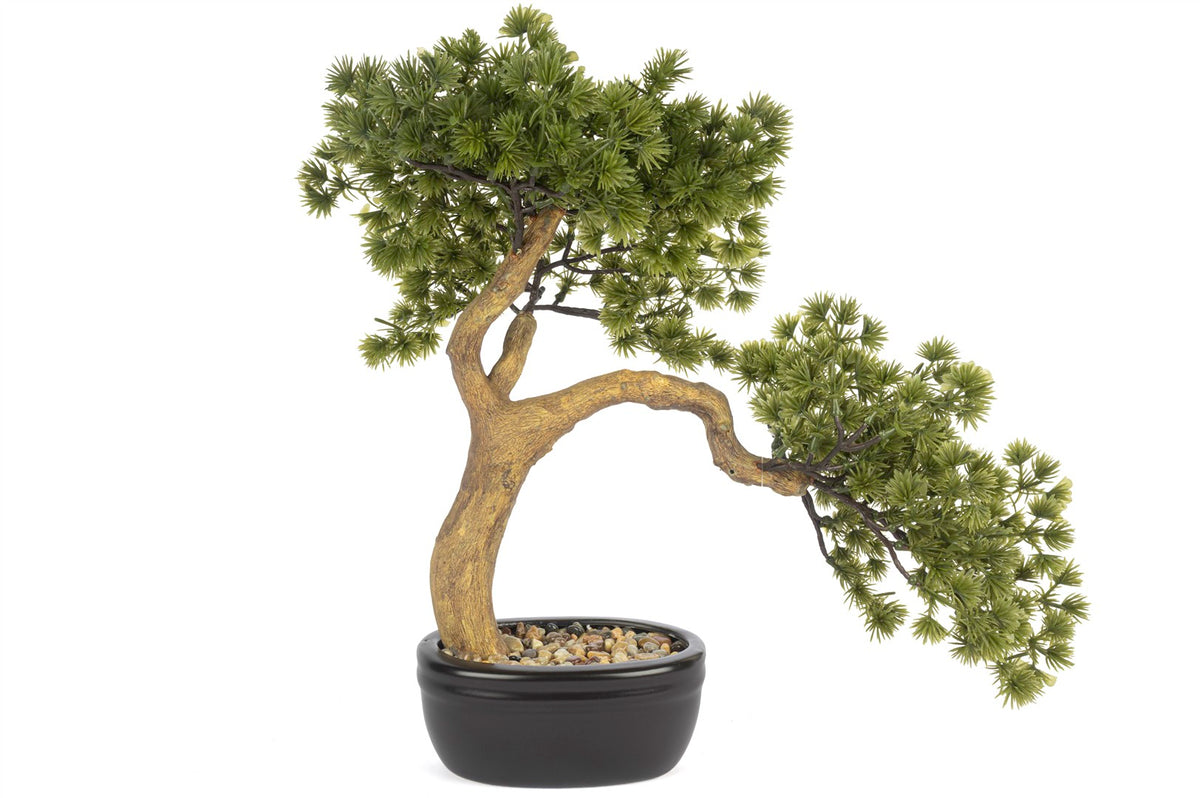 Mikasa Moor Pinus Yapay Bonsai Ağaç 40x36cm