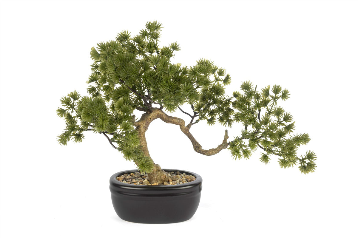 Mikasa Moor Pinus Yapay Bonsai Ağaç 40x30cm